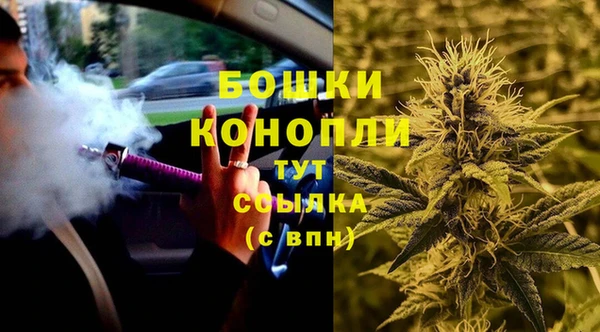 индика Баксан