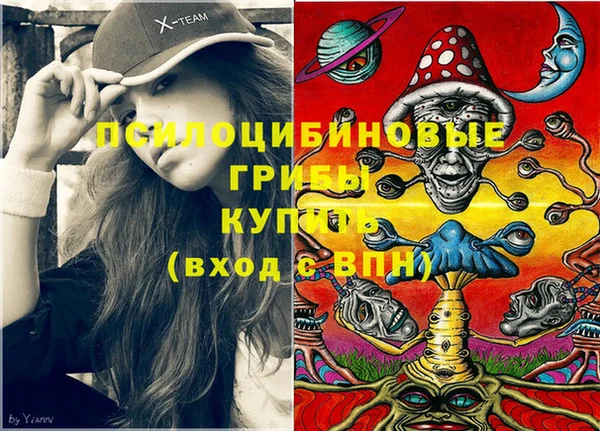 индика Баксан