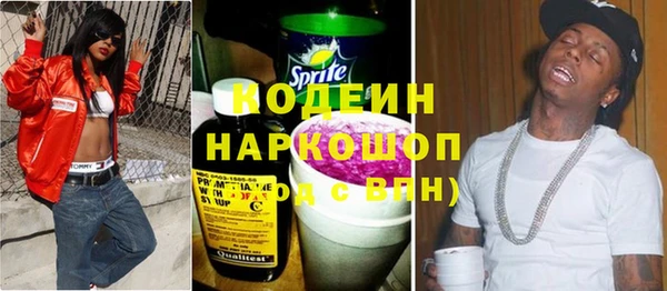 индика Баксан
