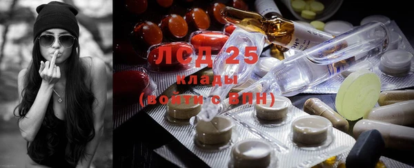 индика Баксан